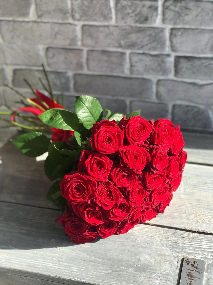 Букет Красные розы Фридом в Мирном Республика Крым