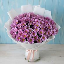 Букет цветов из:  Хризантемы в Мирном Республика Крым