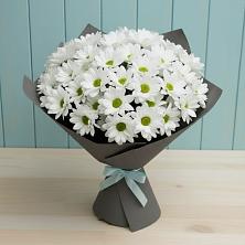 Букет цветов из:  Хризантемы в Мирном Республика Крым