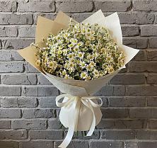 Букет цветов из:  Ромашки в Мирном Республика Крым