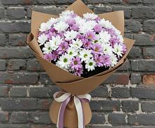 Букет цветов из:  Хризантемы в Мирном Республика Крым