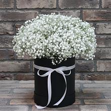 Цветочная композиция из Гипсофила в шляпной коробке в Мирном Республика Крым
