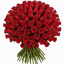 Букет Красные розы Чери Лав #REPLACE_PRED# Мирном Республика Крым