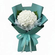 Букет цветов из:  Гортензия #REPLACE_PRED# Мирном Республика Крым